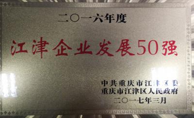 2016年度企业发展50强